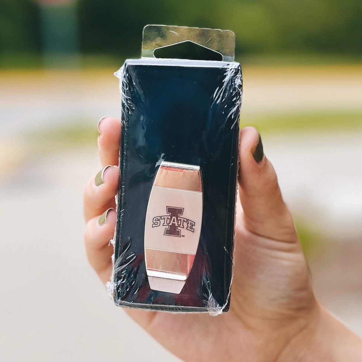 I-State Silver Money Clip (2.25"x1")